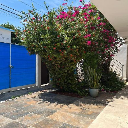 Casa Nuria Playa del Carmen Exterior foto